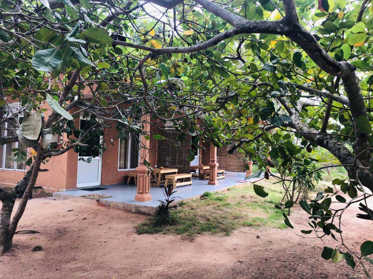 Wilpattu Wildhideaway Hotel Galkadawala Eksteriør billede
